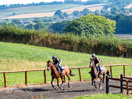 PH020922-56 - 3rd Lot on the gallops